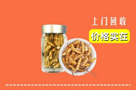 广汉市回收散虫草