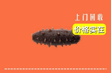 广汉市回收海参
