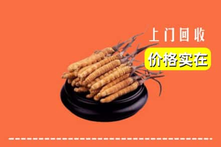 广汉市回收冬虫夏草